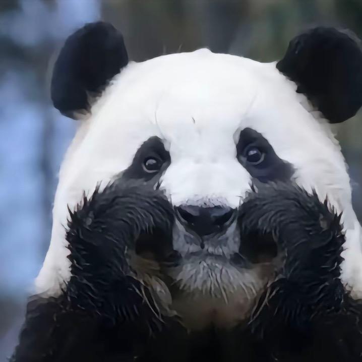 °🐾 🌻 ⁵⁸⁸