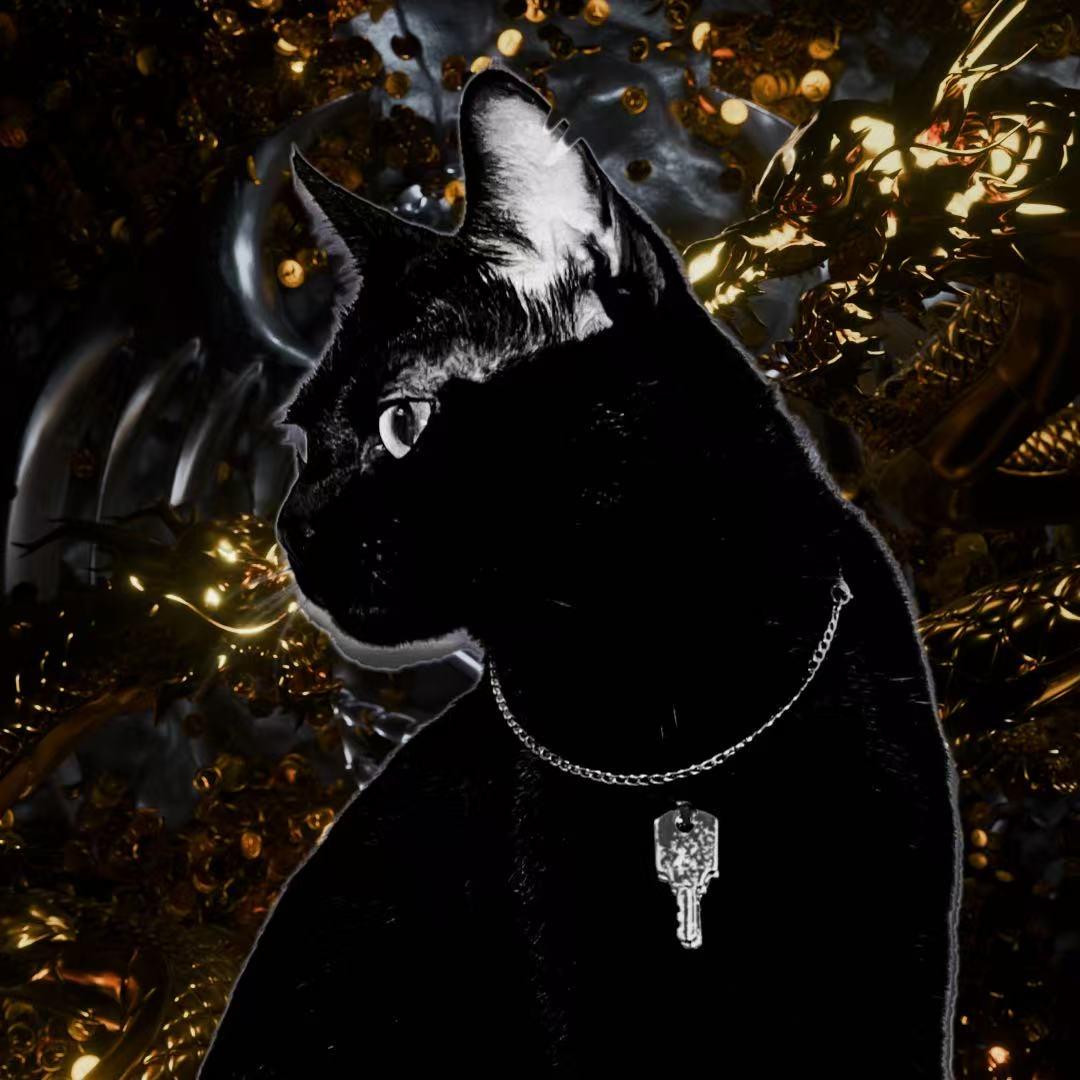 𝐝𝐮𝐩𝐲 𝓬𝓷