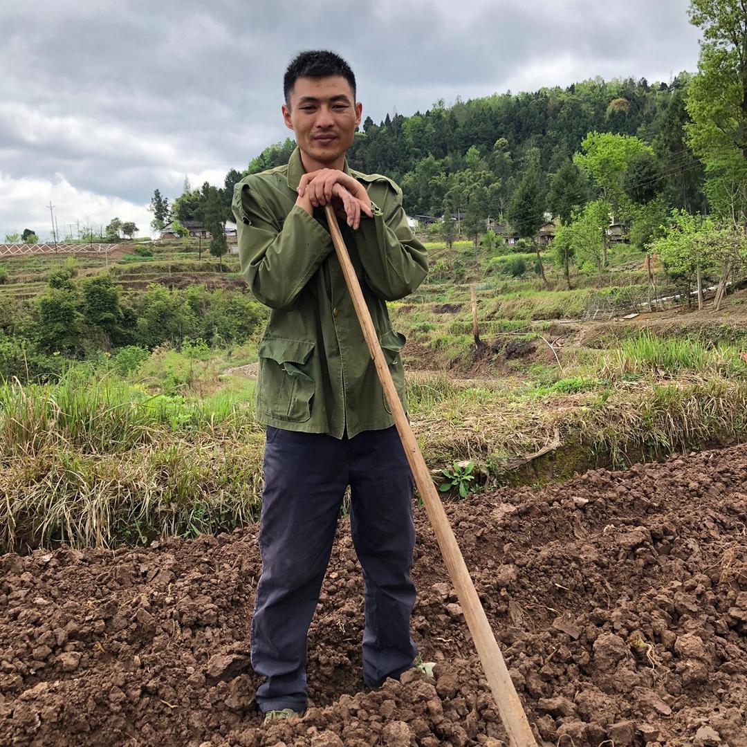 倪三（招人）@抖音