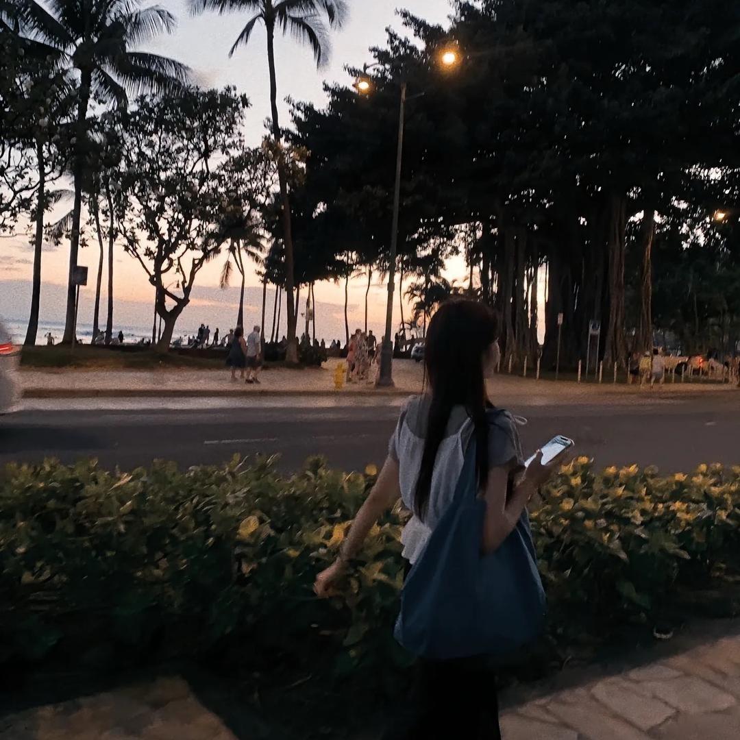 夏天的风💬