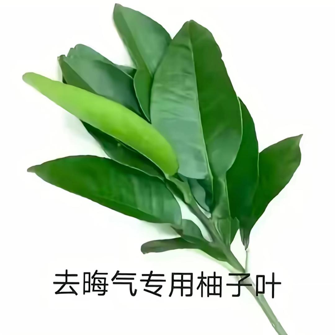 眼角痣.