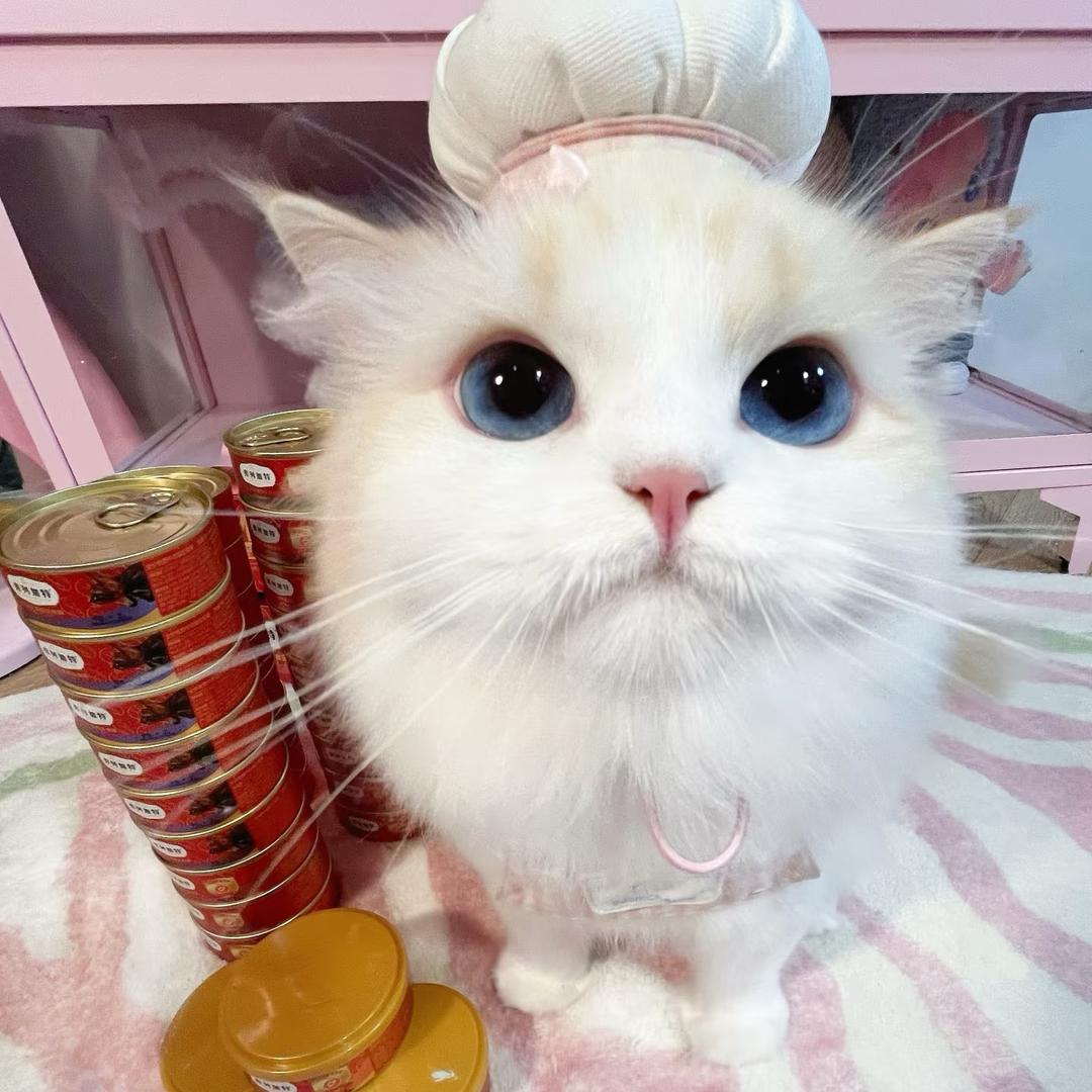 炸炸糊啦