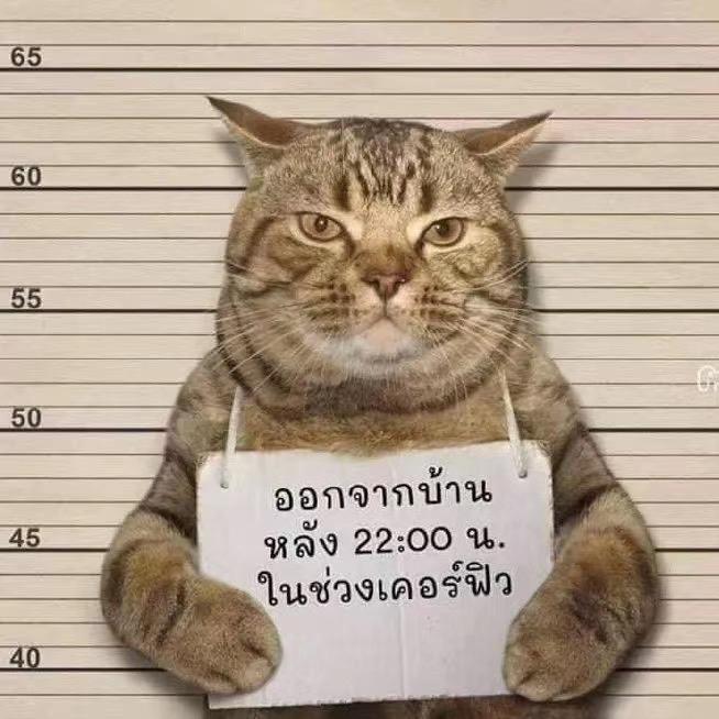 我朋友不红太可惜