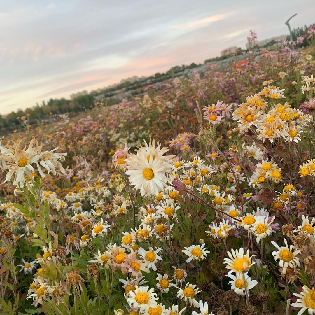 是 小小小晶啊🎀