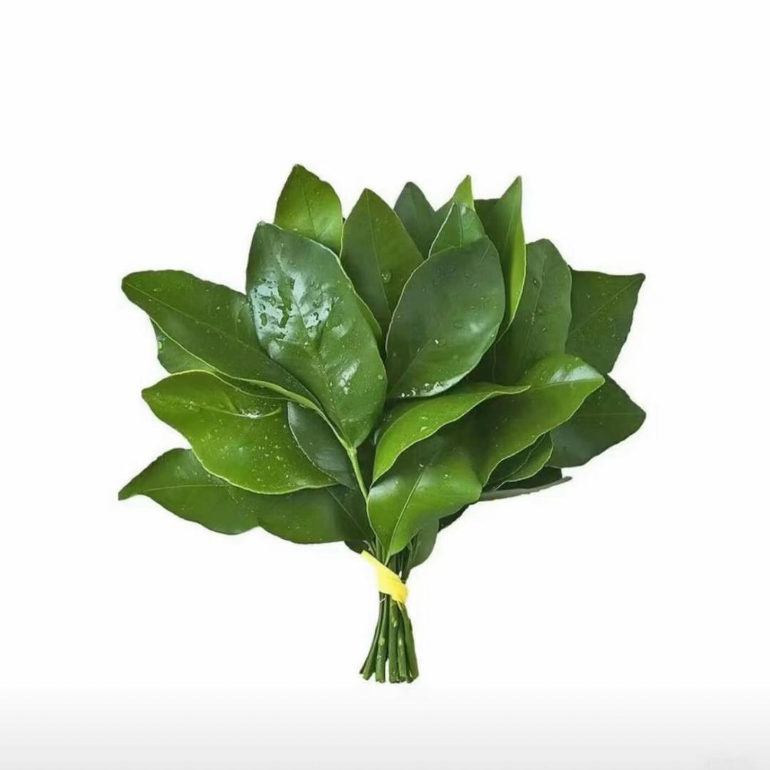 新蔡房产经纪人王睿