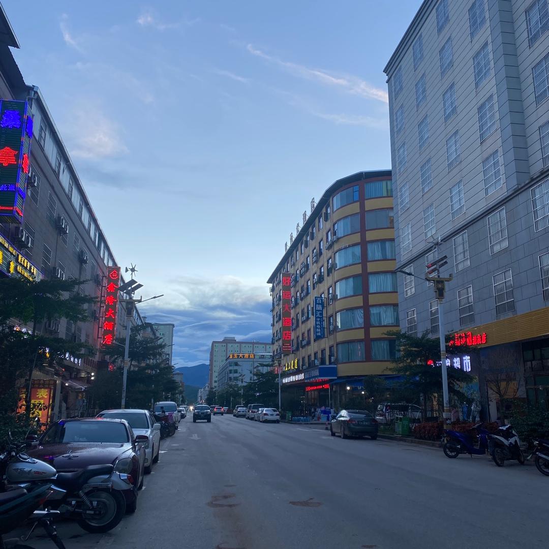 🌱单纯聊天🌱