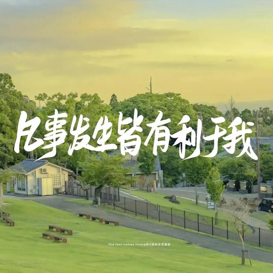 阳光男孩