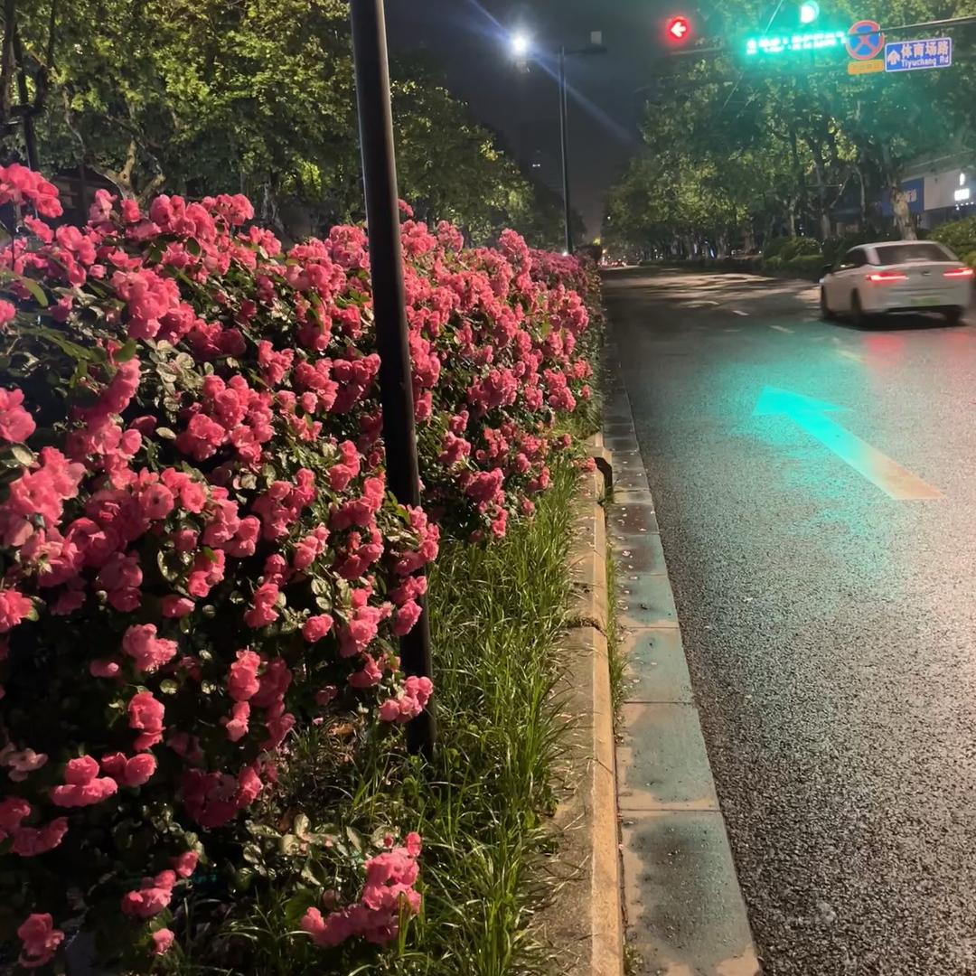 眸指生辉创意坊