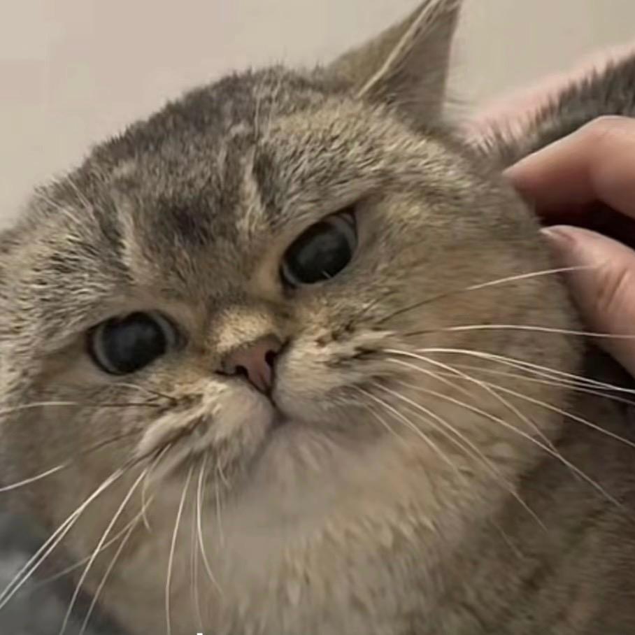 网恋被骗一个7斤大榴莲🌈