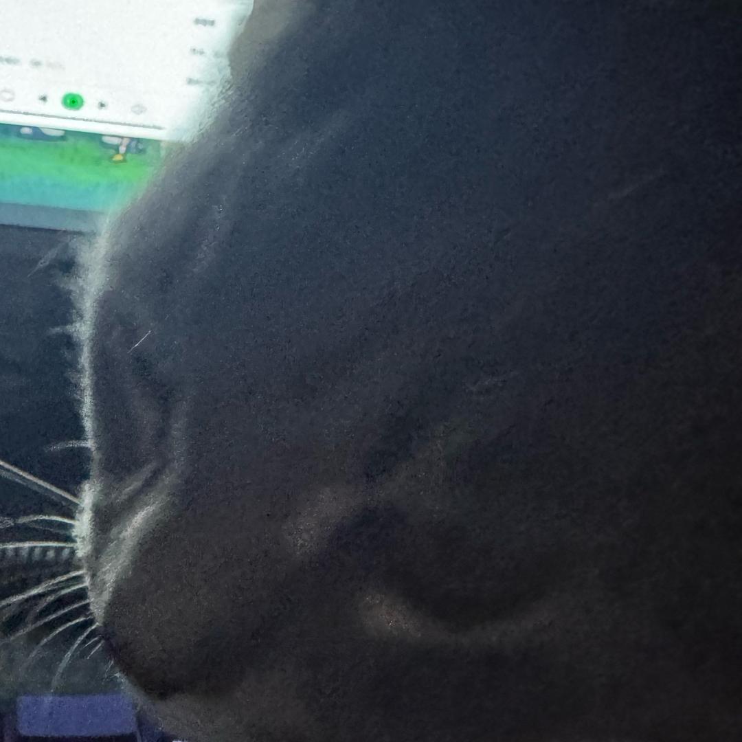 zza
