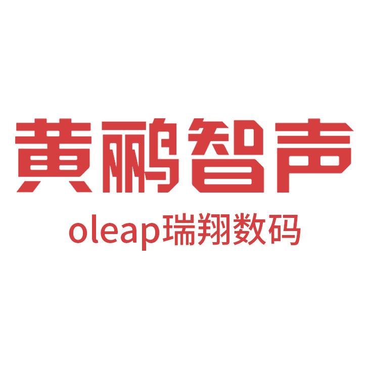 oleap 瑞翔数码店