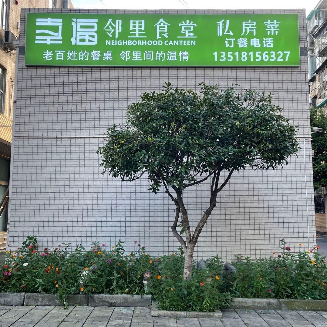 许诺