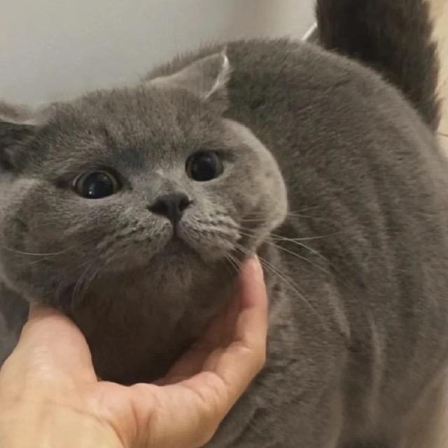 向前看