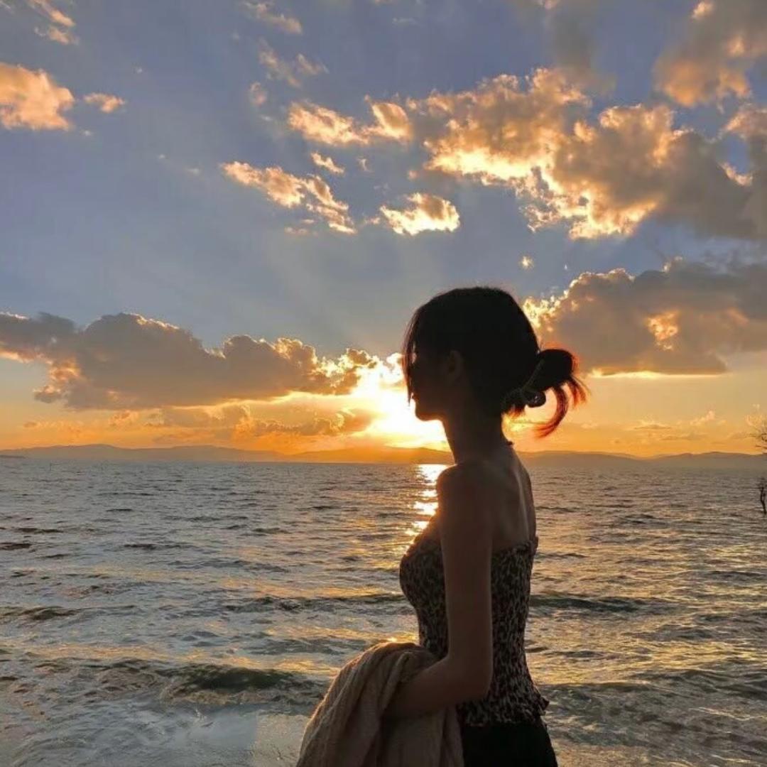 会飞的史迪奇