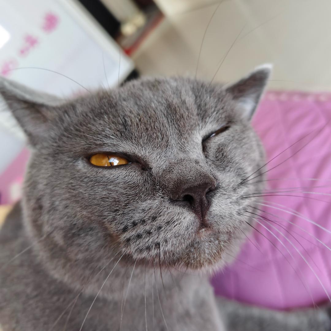 闭嘴