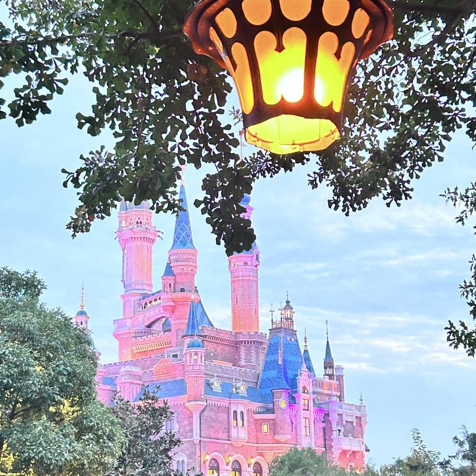 🌻🌻小知间间