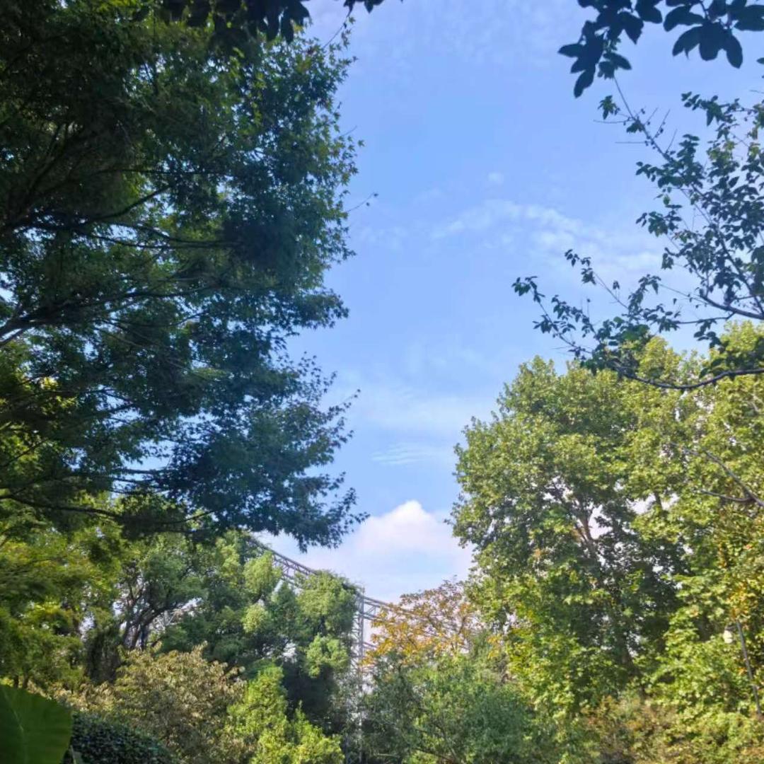 满目星陈
