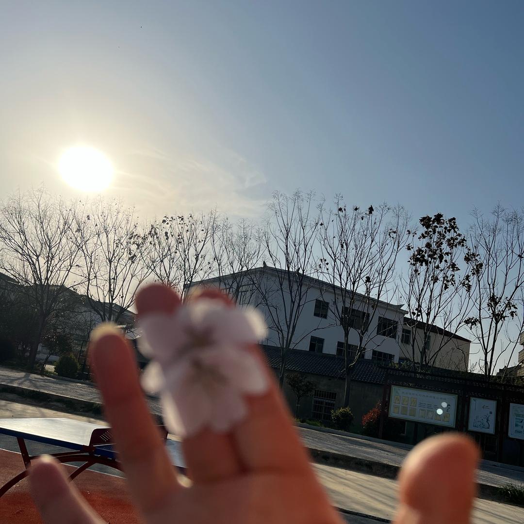 暖暖的爱