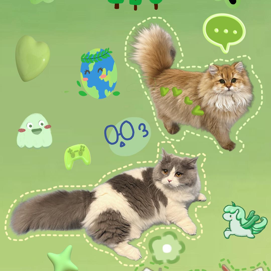 元气少妇林品如