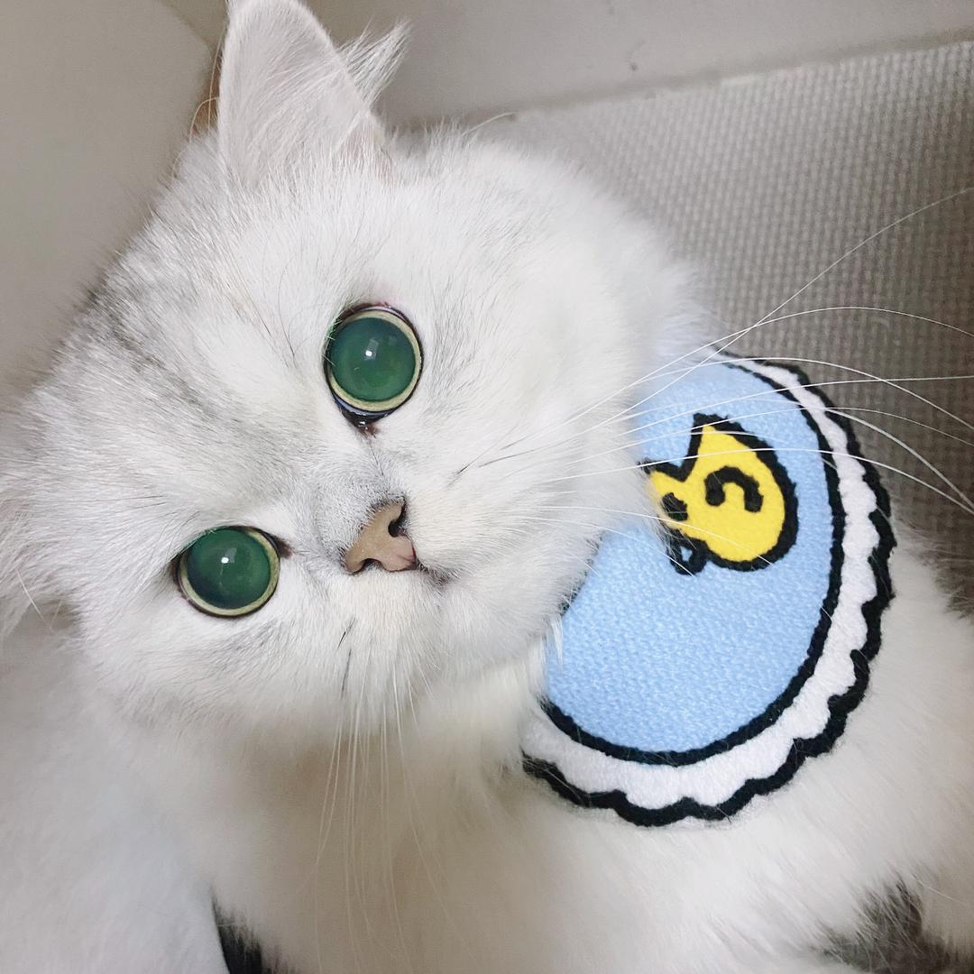 鳌拜很温柔
