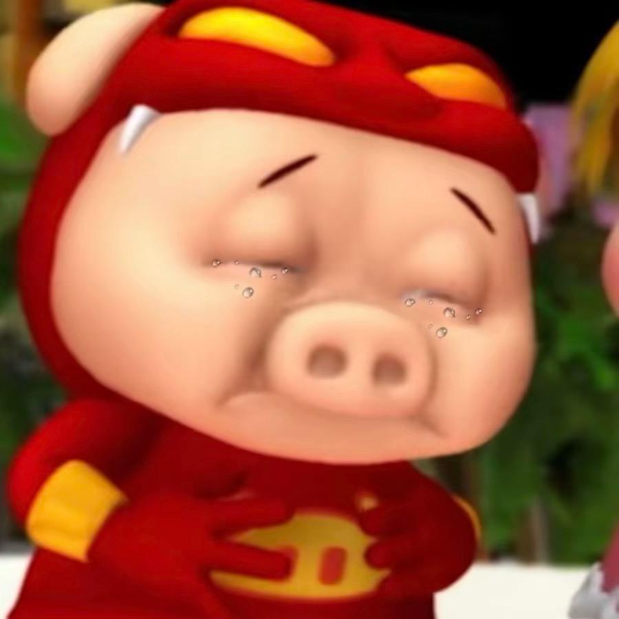 AAA猪肉批发程哥