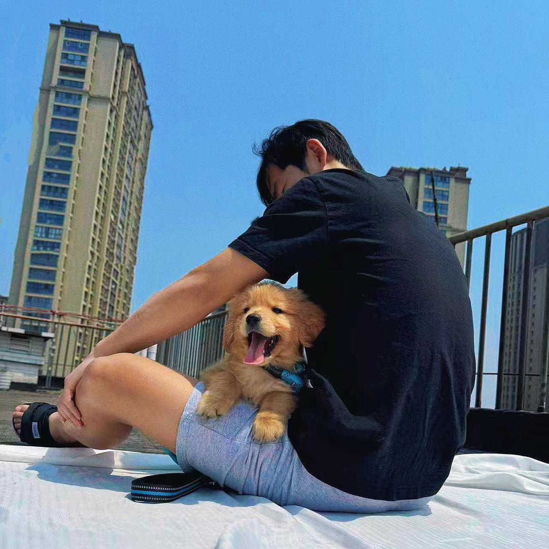 嘿扎