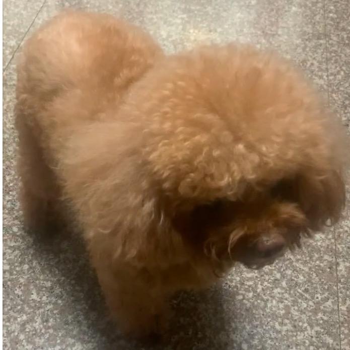 少煜吖