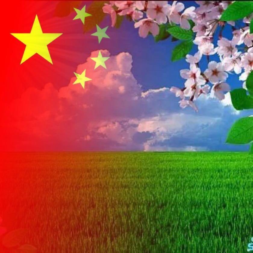自由自在