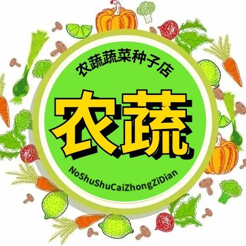 农蔬蔬菜种子店