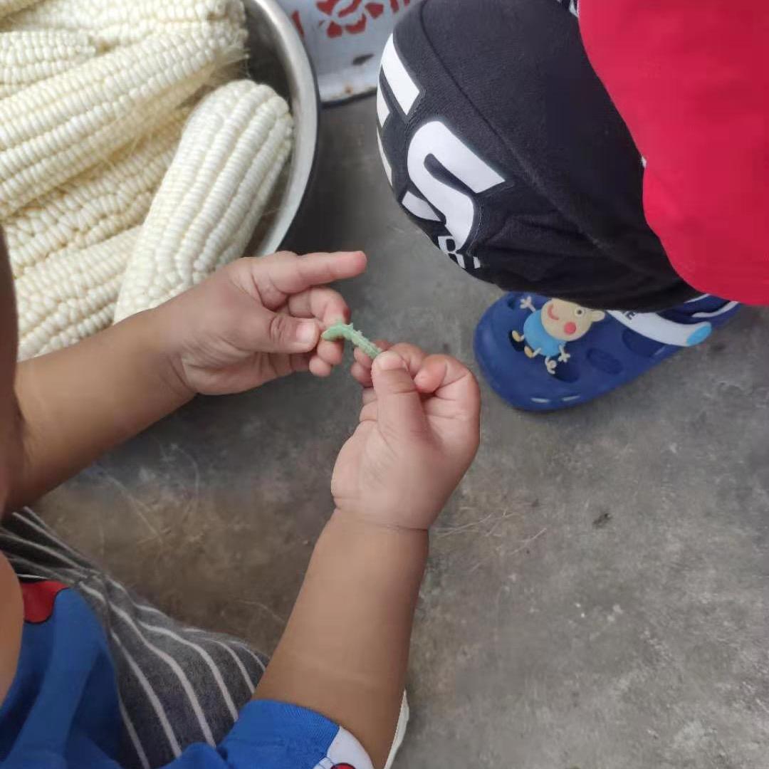 小怪鱼🐟头像