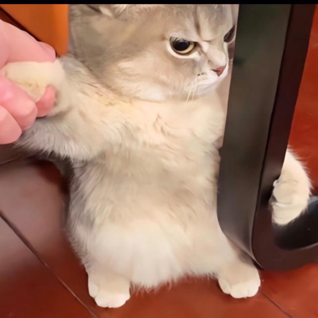 13579
