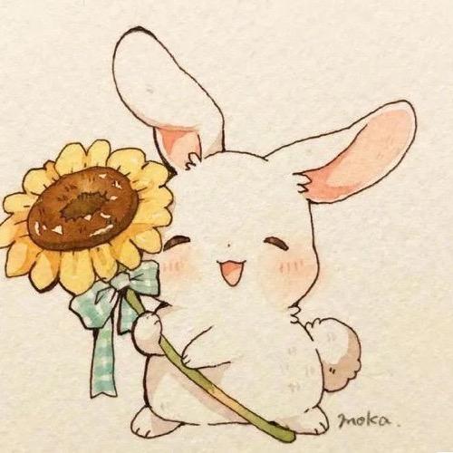 白日梦探险家～
