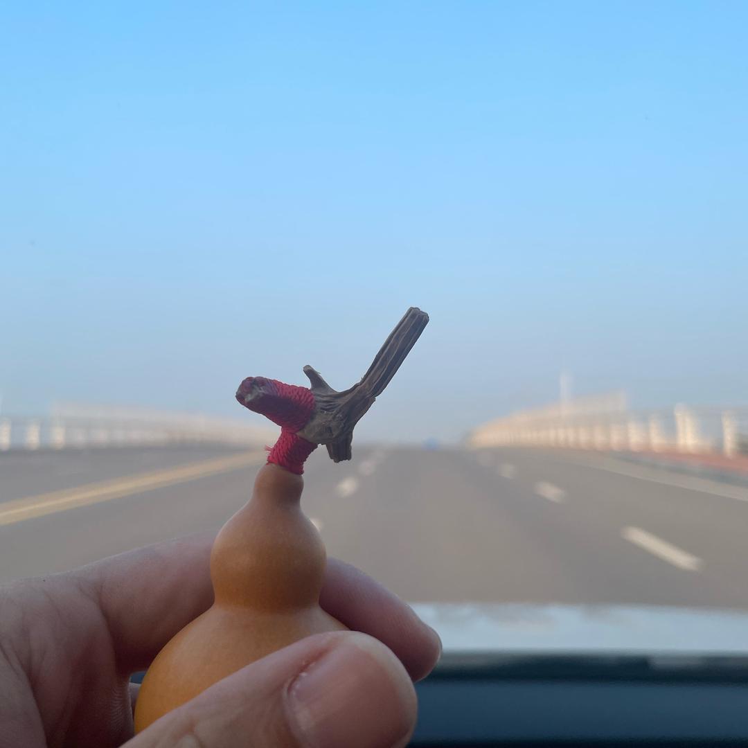 大号毛毛虫