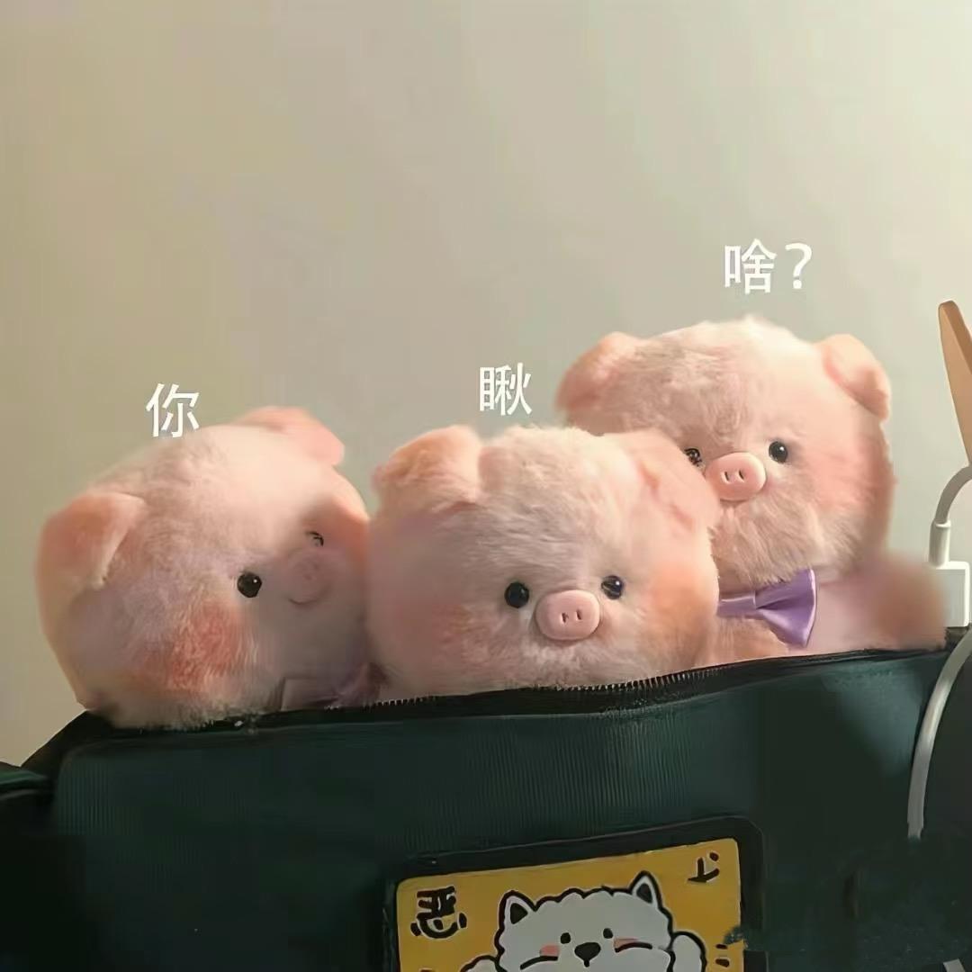 小九