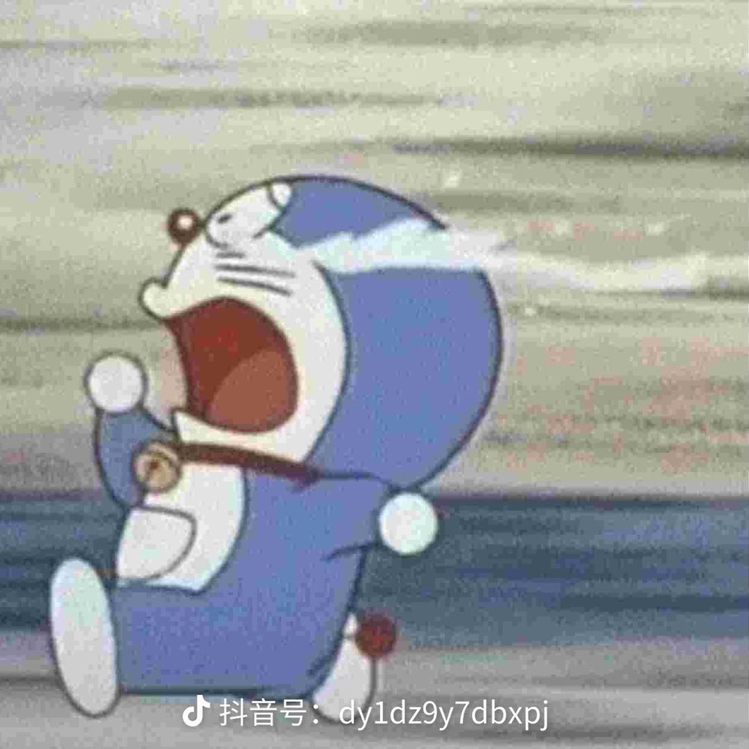 露露的白丝