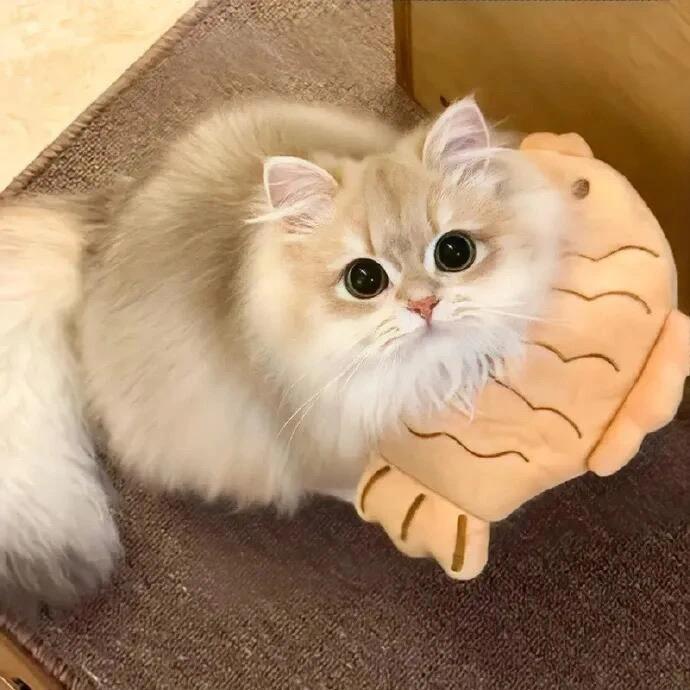 小一