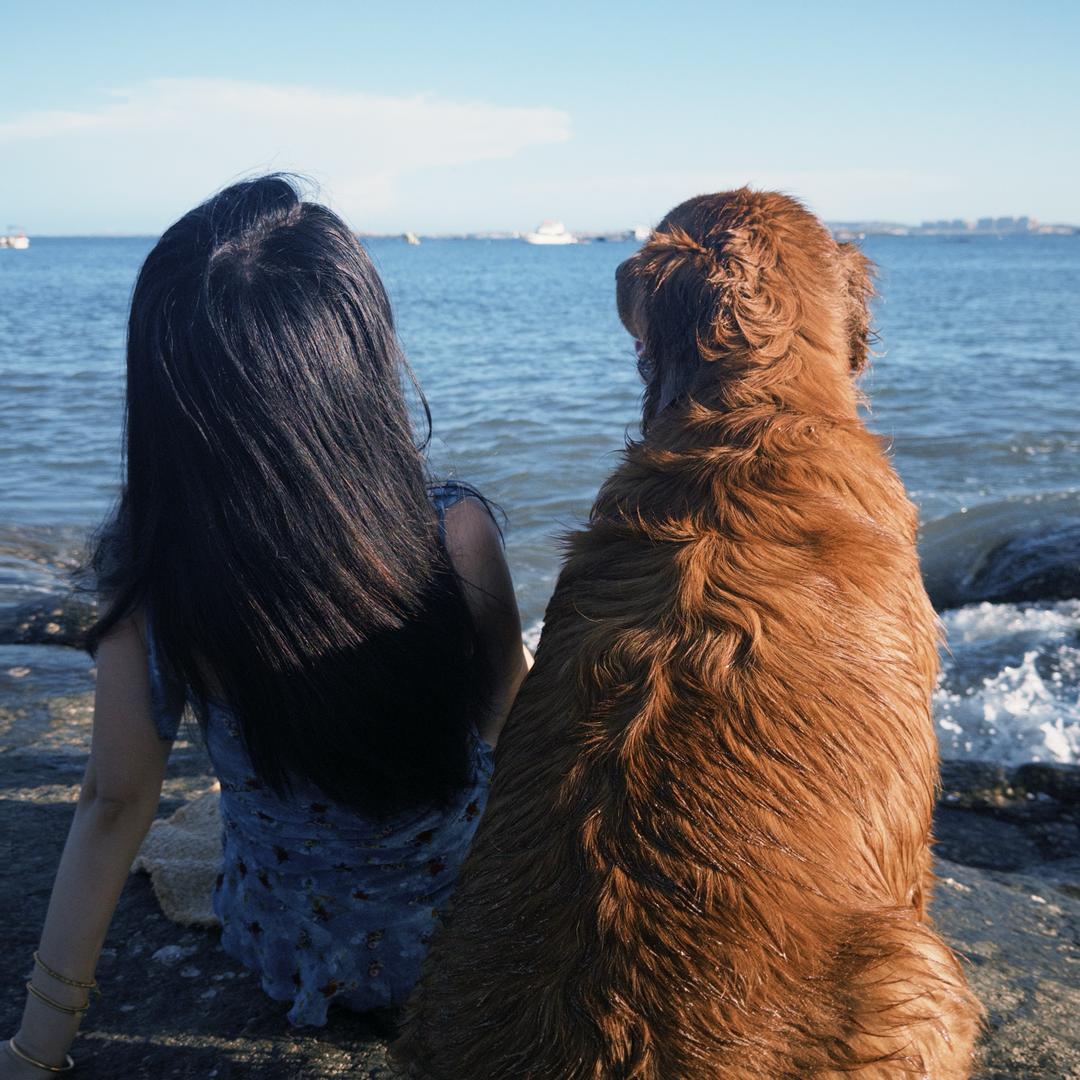 你是不是油猫饼