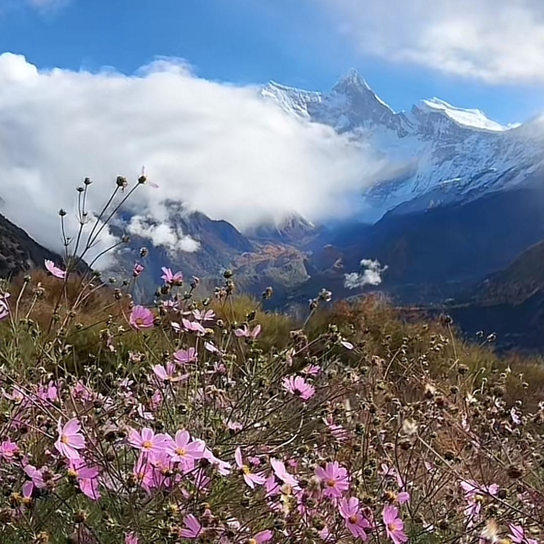 风雨过后是晴空☀️⁵²³⁷