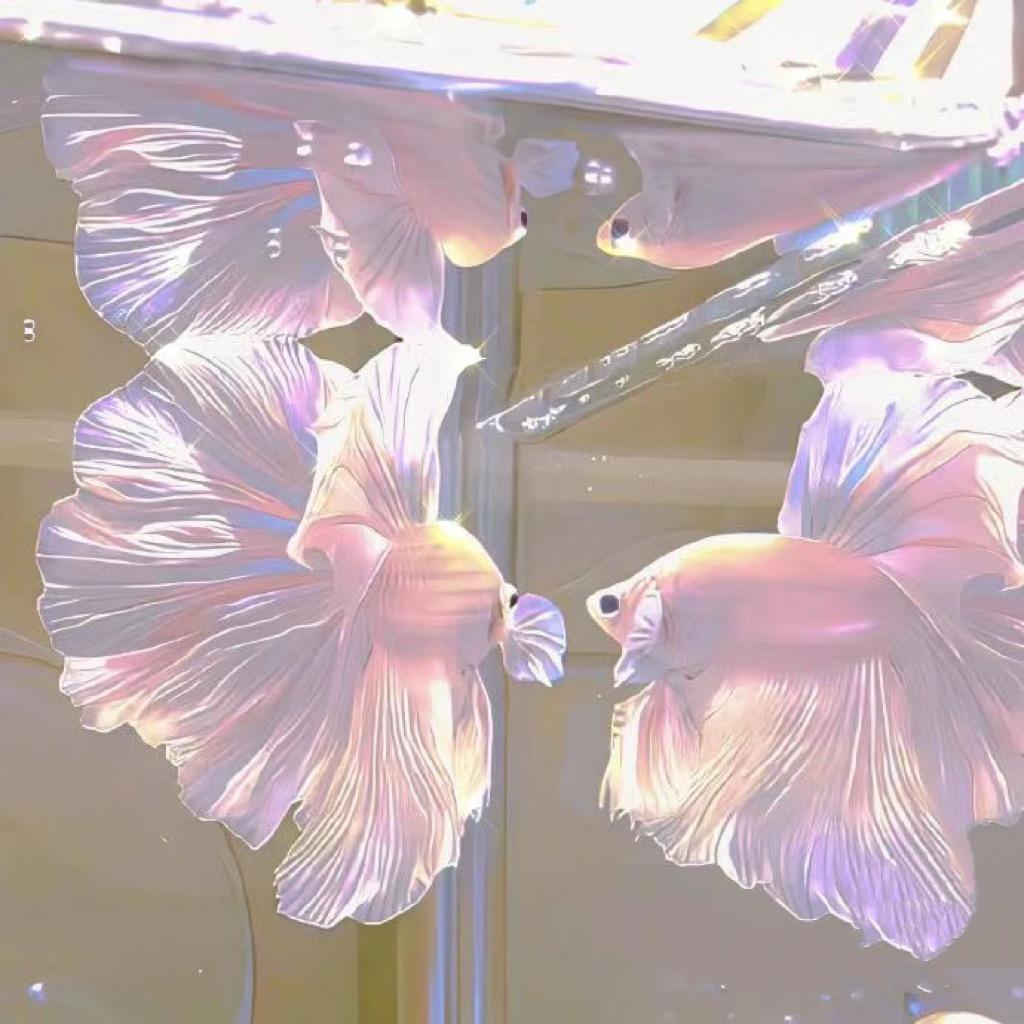 望珊瑚水族馆