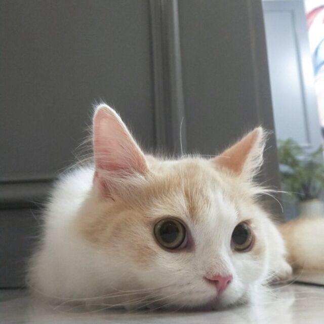 波和粒子