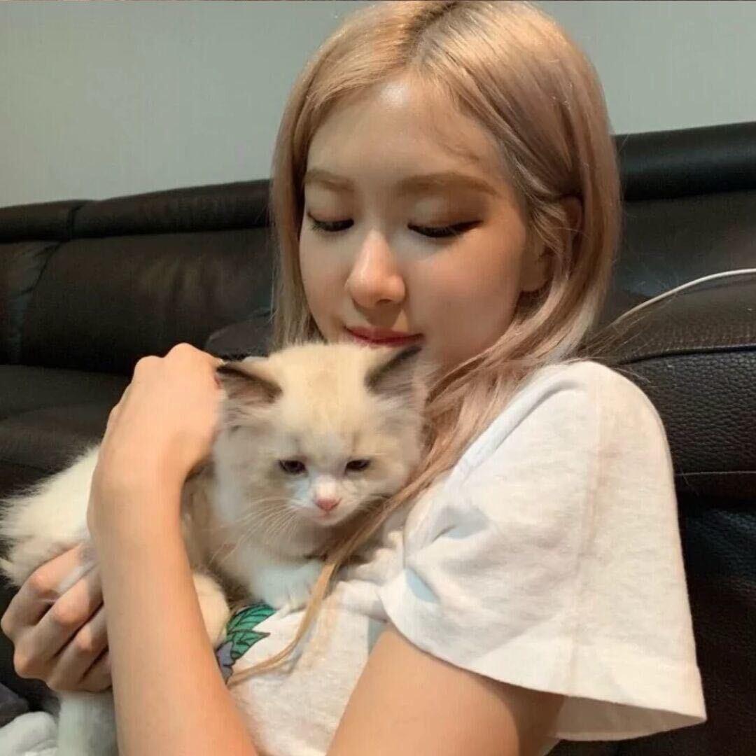 嗯哼IU
