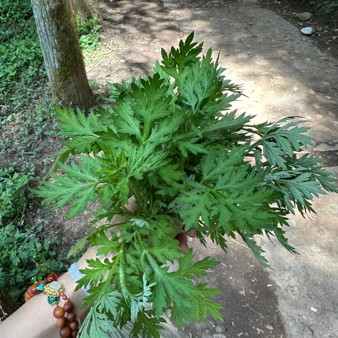 希望小学