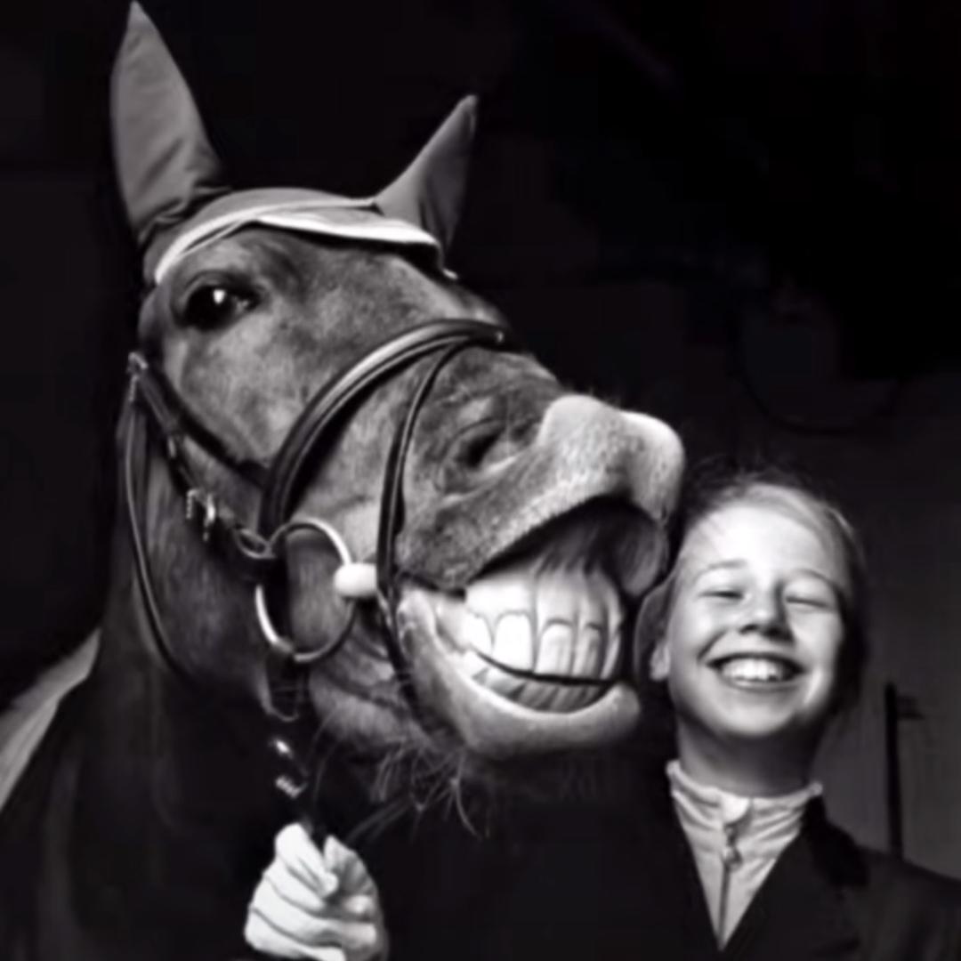 刘德德德德德德德德德德德德德德德德华🪳