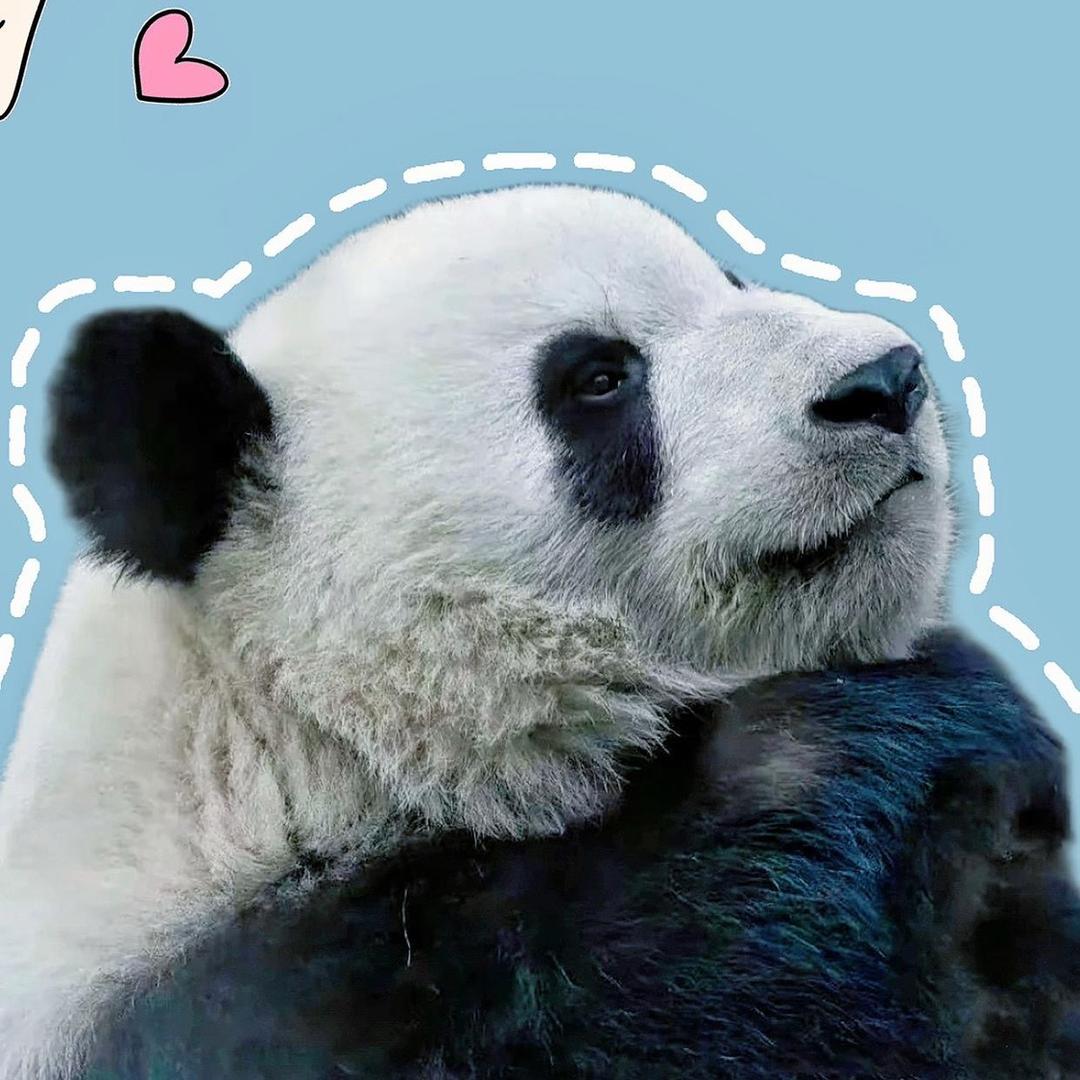 橙子🍊吃喝玩乐