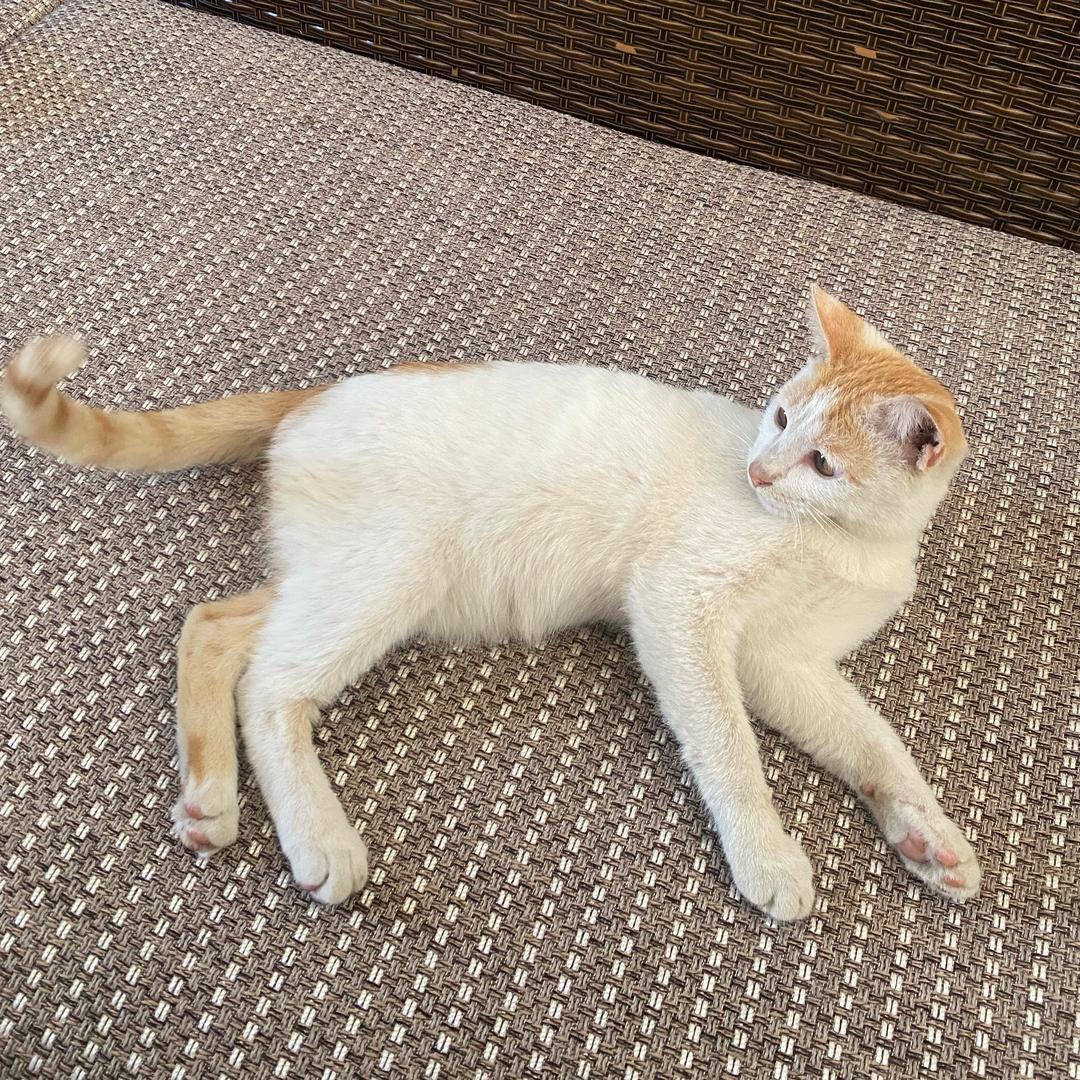 一依🦋
