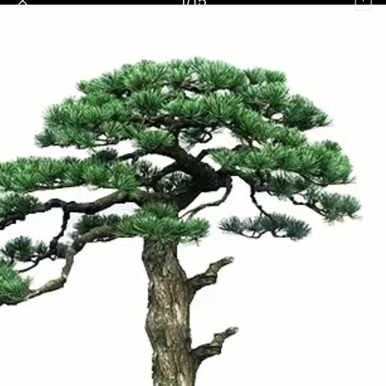 小熙同学👨‍🎓