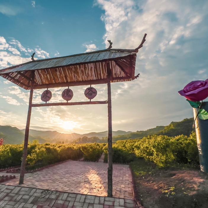 大门古镇·助农优选