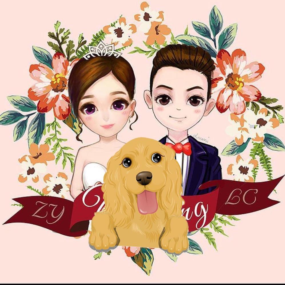 🌈萌宠小五婚纱甄选