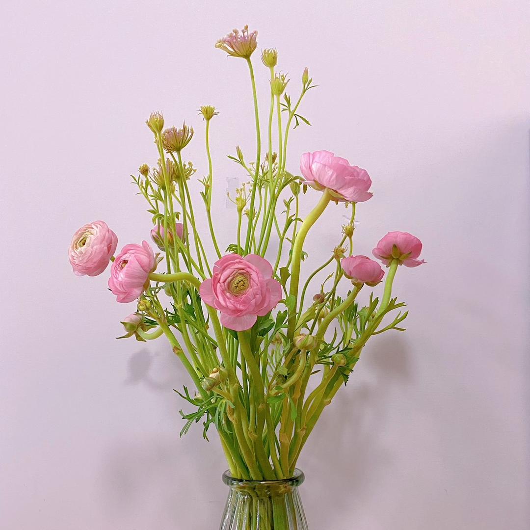 好运暴涨八方来财一夜暴富梨小洁洁