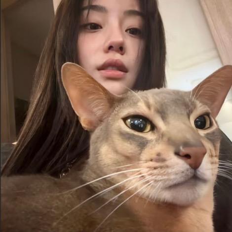 不爱吃米饭